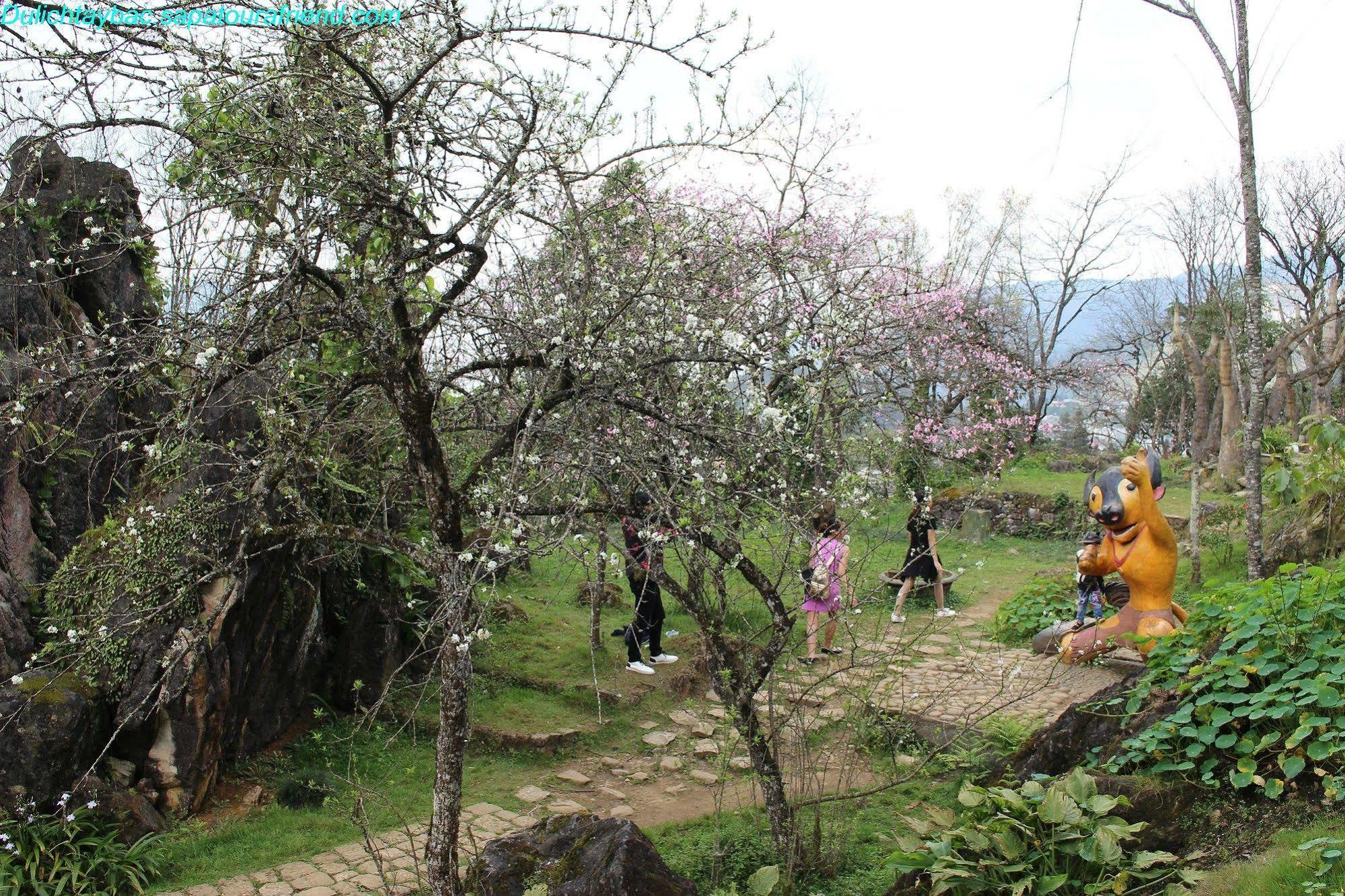 Sapa Sunflower Hotel Buitenkant foto